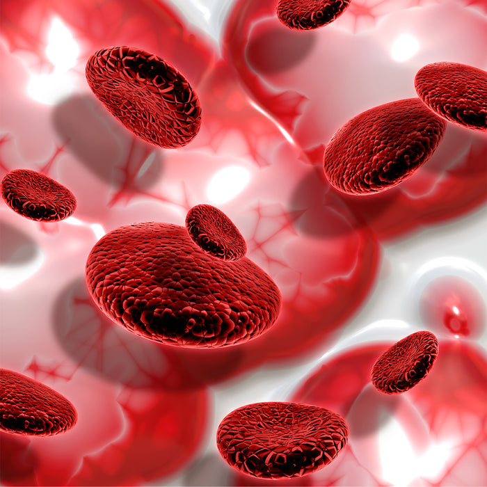 Bloodborne Pathogens